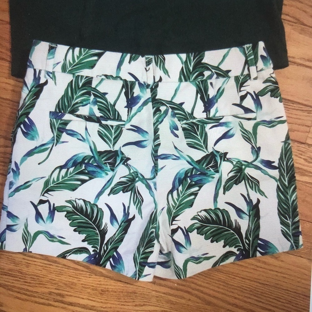 DALIA shorts - Picture 4 of 7